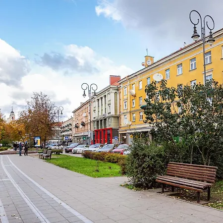Old Town Apartment, Vokieciu Str. By Houseys